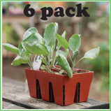 Terra Cotta 6-Cell Seed Starting Trays - 6 pack