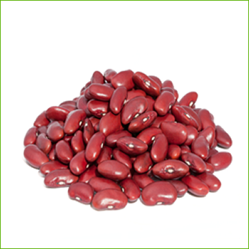 Beans, Kidney-Red (organic) 
