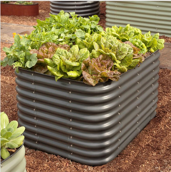 Birdies, 6in1 Tall Metal Raised Garden Bed 40lbs Sprout Master