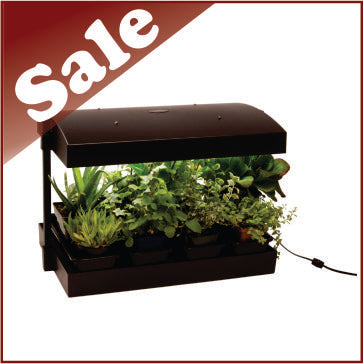 Growlight Garden Complete Black Large T5HO