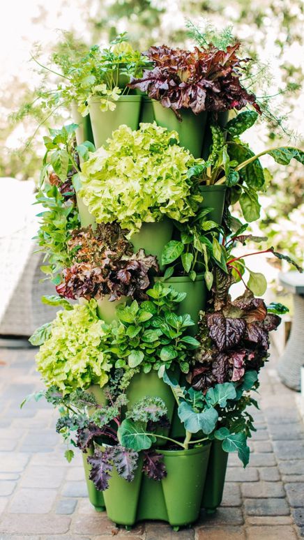 GardenStalk Vertical Planter 5 tier -Evergreem