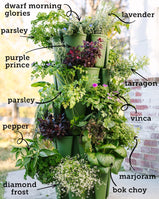 GreenStalk planter with herbs -herbs not included