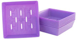 Bootstrap Farmer, 5x5 Shallow Microgreen Trays Assorted colour or Black-8pk