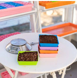 Bootstrap Farmer, 5x5 Shallow Microgreen Trays Assorted colour or Black-8pk