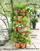 GreenStalk garden planter with herbs -herbs not included