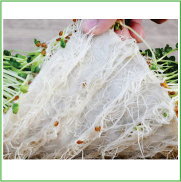 Biostrate Biostrate Felt Mat 1ea. & 20pk – Sprout Master