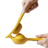 Citrus Juicer