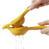 Citrus Juicer