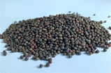 Collard Greens seed