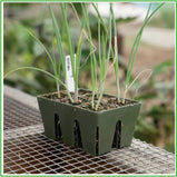 6-Cell Seed Starting Trays -sage green