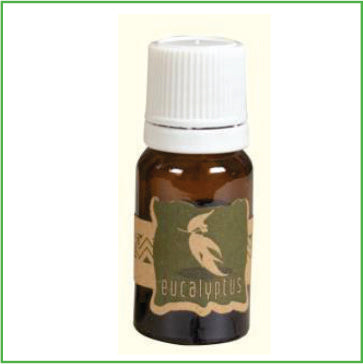 Eucalyptus 10ml