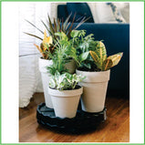 GardenStalk Ultimate mover base