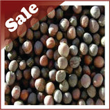 Kale, Red Russian (organic) 500g