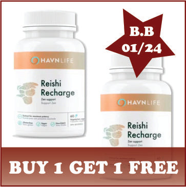 Reishi Recharge 60 vegetarian caps - Buy 1, get 1 free