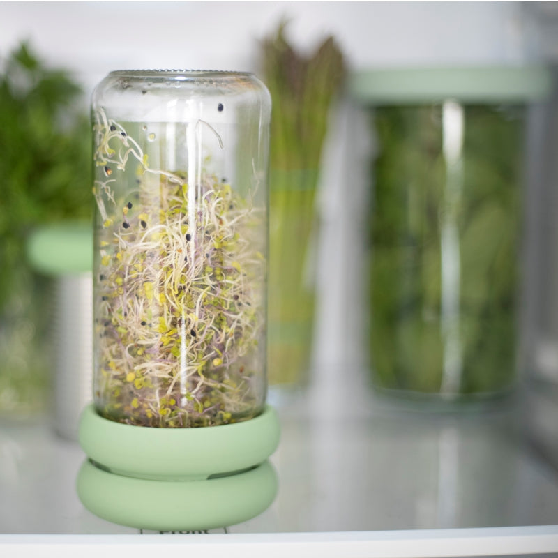 Seed Sprouting Lid Set Silicone, Sprout Hugger – Sprout Master