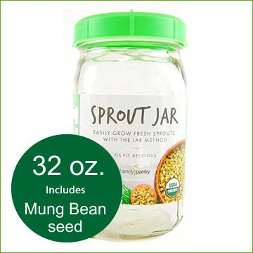 Sprouting Mason Jar 32 oz