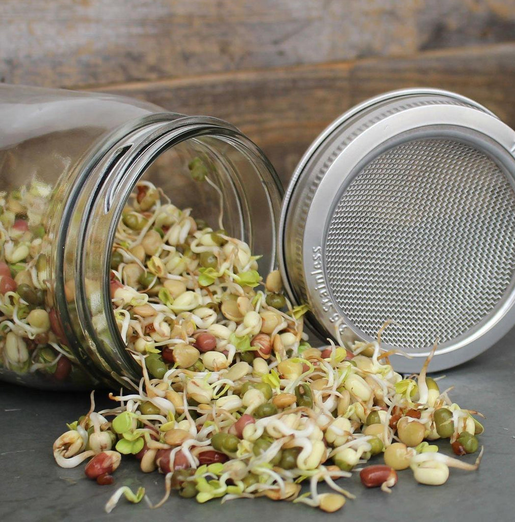 Sprouting Jar Lid Kits -wide 2pk – Sprout Master