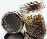 Trellis Stainless Steel Wide Mouth Sprouting Jar Lids (2pk)