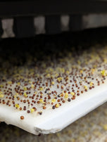 uniform seeding - Bamboo grow mat