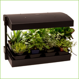 Growlight Garden Complete Black Large T5HO