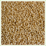 White Amaranth seed organic 