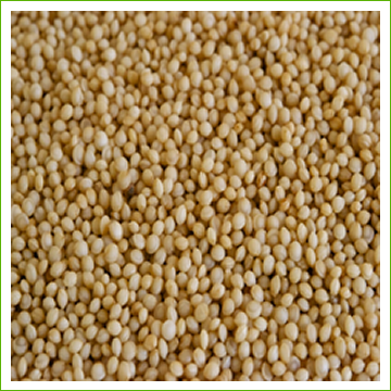 White Amaranth seed organic 