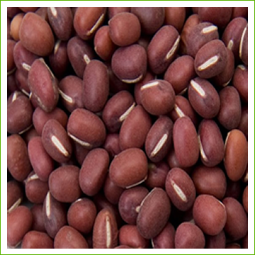 Beans, Adzuki (organic) 