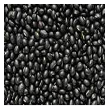 Beans, Soy Bean Black (organic) 