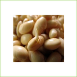 Beans, Soy Bean Raw sprouting (organic)