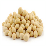 Beans, Soy Bean White (organic) for cooking only)