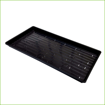Tray Bootstrap Farmer Microgreen Shallow(with holes) 10 x20x1.25