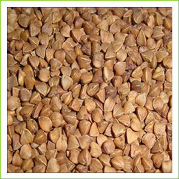 Buckwheat Groats Green-hulled (organic) 