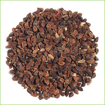 Organic Buckwheat Hulls - ComfyComfy Canada Organic Buckwheat Hulls - ComfyComfy Canada