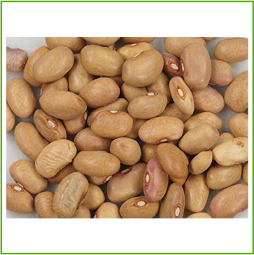 Bolita beans 
