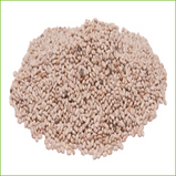 Chia Seed-White (organic) 