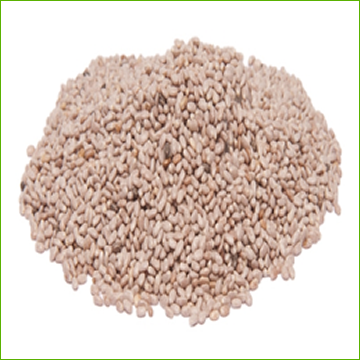 Chia Seed-White (organic) 