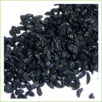 Chive Sprouts Garlic Chive Seeds Davenport Garden Centre