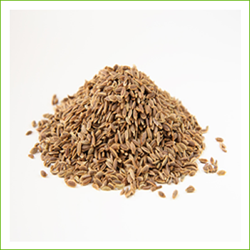 Dill seed (organic) 