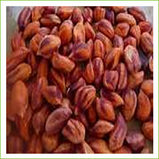 Jungle Peanuts (organic) 500g