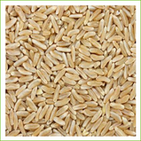 Kamut® Grain (organic) 