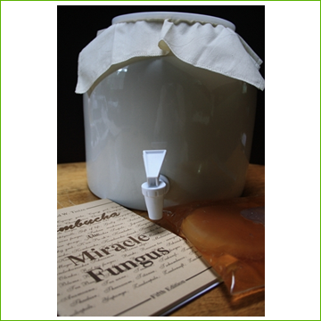 Kombucha Culture Kit