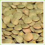 Organic large green lentils 1kg