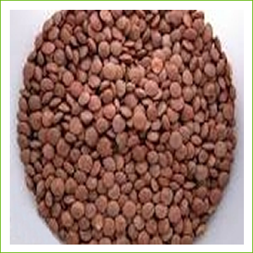 Organic red lentils 1kg