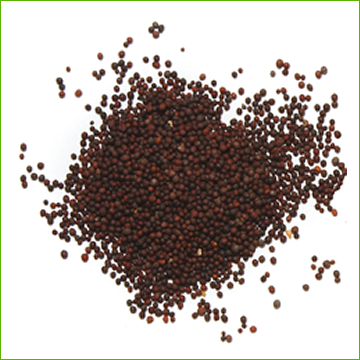 Organic Brown Mustard seed