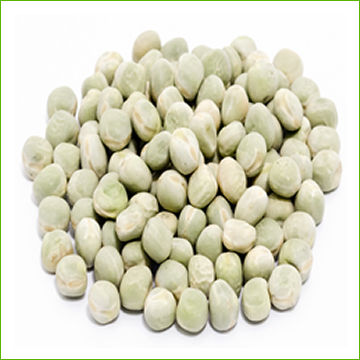 Marrowfat pea seed