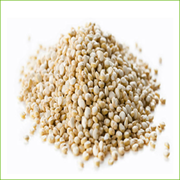 Quinoa White (organic) -for cooking -1kg