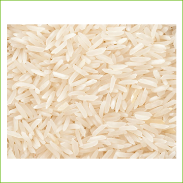 Basmati Rice Sprouts Rice- Basmati White – Sprout Master