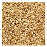 Sesame Seed, Beige with hulls (organic) 1kg