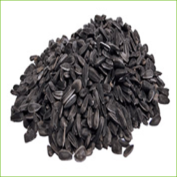 Sunflower Black Oilseed Canadian (organic) 1kg