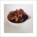 Sea Moss Purple* (Seaweed Collagen) 